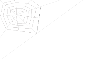 Spinnennetz5