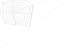 Spinnennetz6