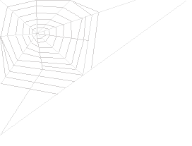 Spinnennetz7